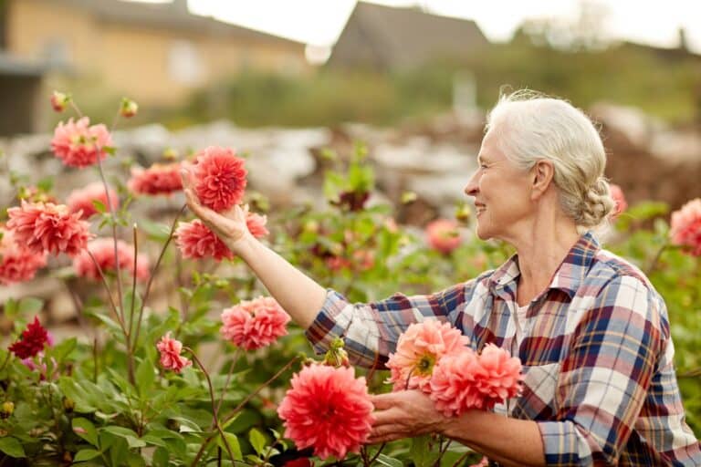 Senior Independent Living St. Charles, MO - How Senior Independent Living Fuels Lifelong Learning